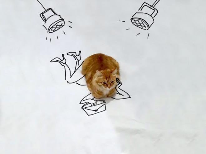 Kreativitas Kocak Netizen Saat Kucing Sedang Diam Ini Bikin Cengar-Cengir